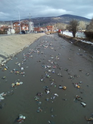 Photo of this report