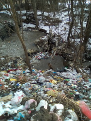 Photo of this report