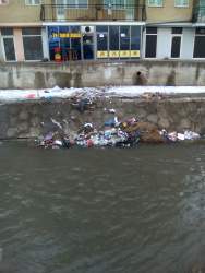 Photo of this report