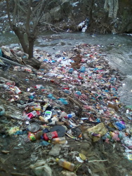 Photo of this report