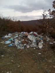 Photo of this report