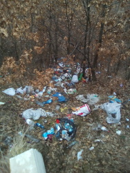 Photo of this report