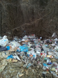 Photo of this report