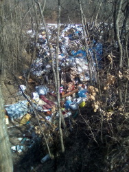 Photo of this report