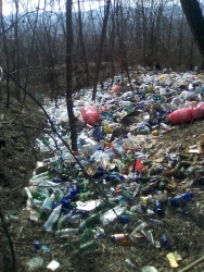 Photo of this report