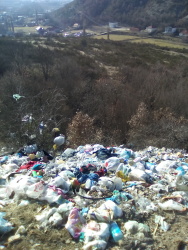 Photo of this report