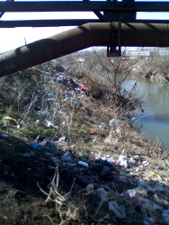 Photo of this report