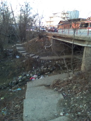 Photo of this report