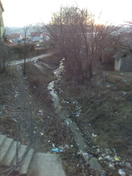 Photo of this report