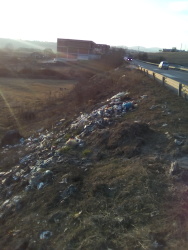 Photo of this report