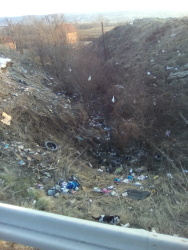 Photo of this report