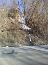 Photo of this report