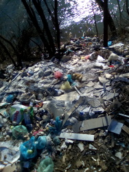 Photo of this report