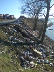 Photo of this report