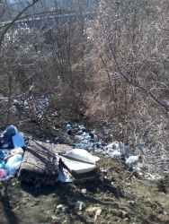 Photo of this report