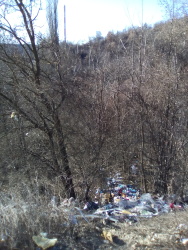 Photo of this report