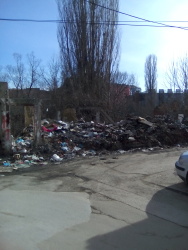 Photo of this report