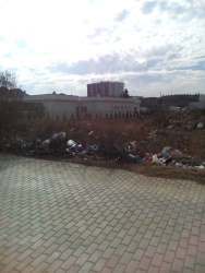 Photo of this report