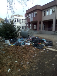 Photo of this report