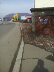 Photo of this report