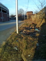 Photo of this report