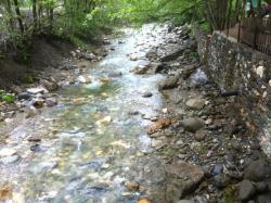 Photo of this report