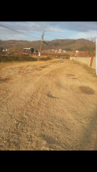 Photo of this report