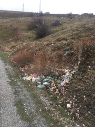 Photo of this report