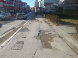 Photo of this report