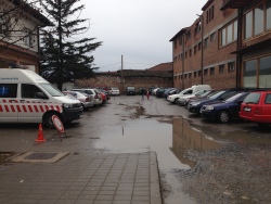 Photo of this report