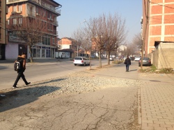 Photo of this report