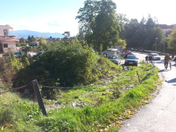 Photo of this report