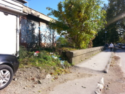 Photo of this report