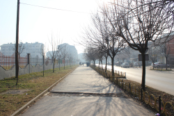 Photo of this report