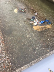 Photo of this report