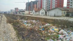 Photo of this report