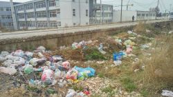 Photo of this report