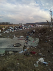 Photo of this report