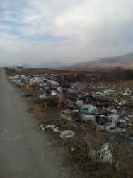 Photo of this report