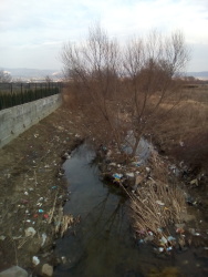 Photo of this report