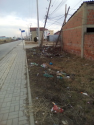 Photo of this report