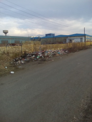 Photo of this report