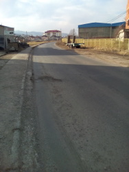 Photo of this report