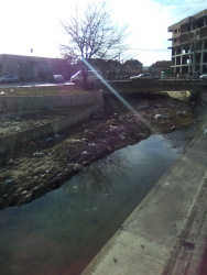 Photo of this report