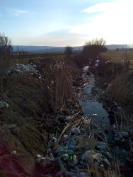 Photo of this report