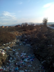 Photo of this report