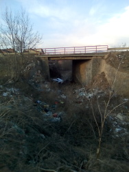 Photo of this report