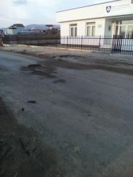 Photo of this report