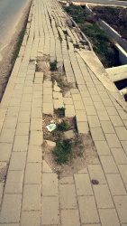 Photo of this report