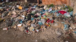 Photo of this report